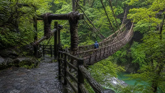 徳島県